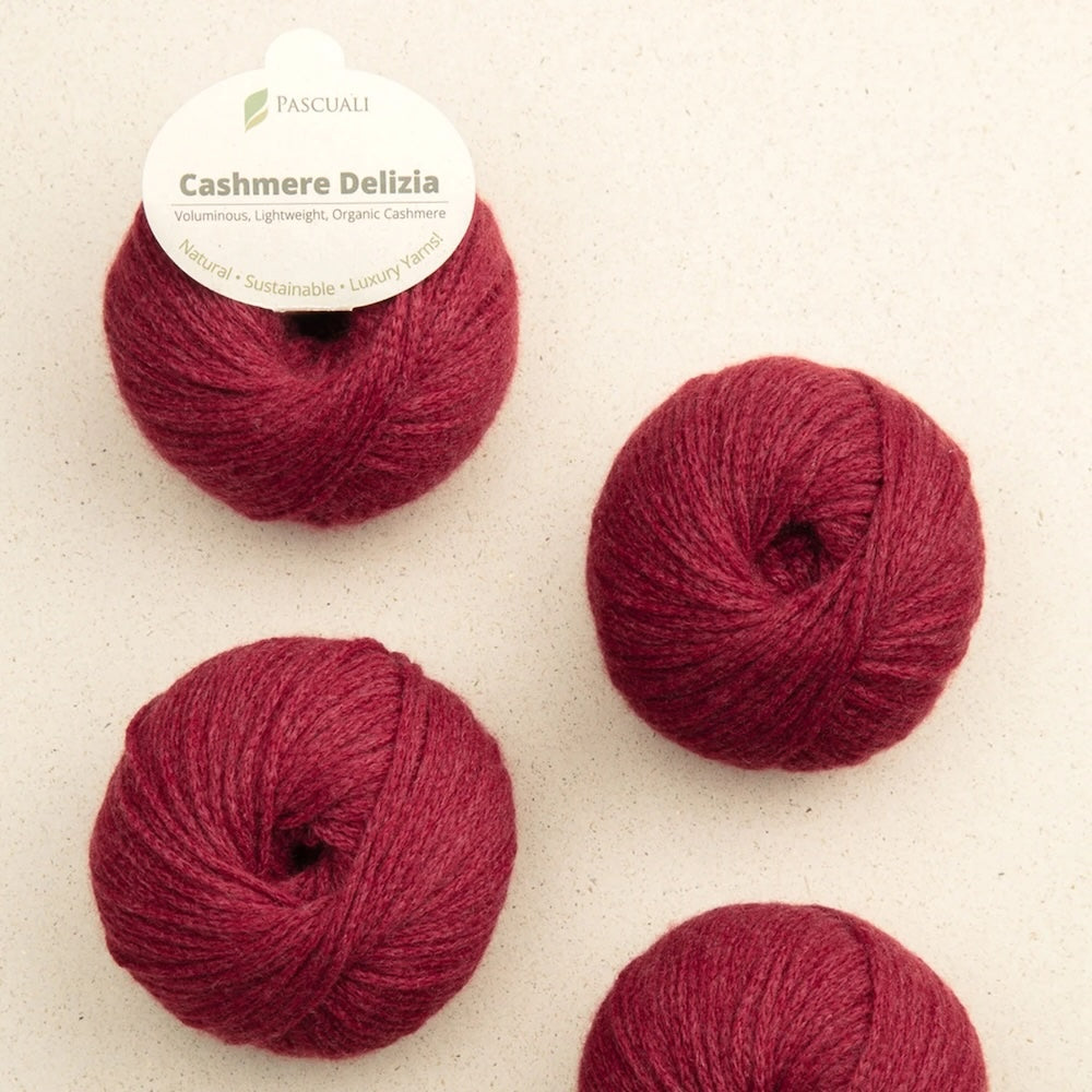 Pascuali Cashmere Delizia Farbe 28