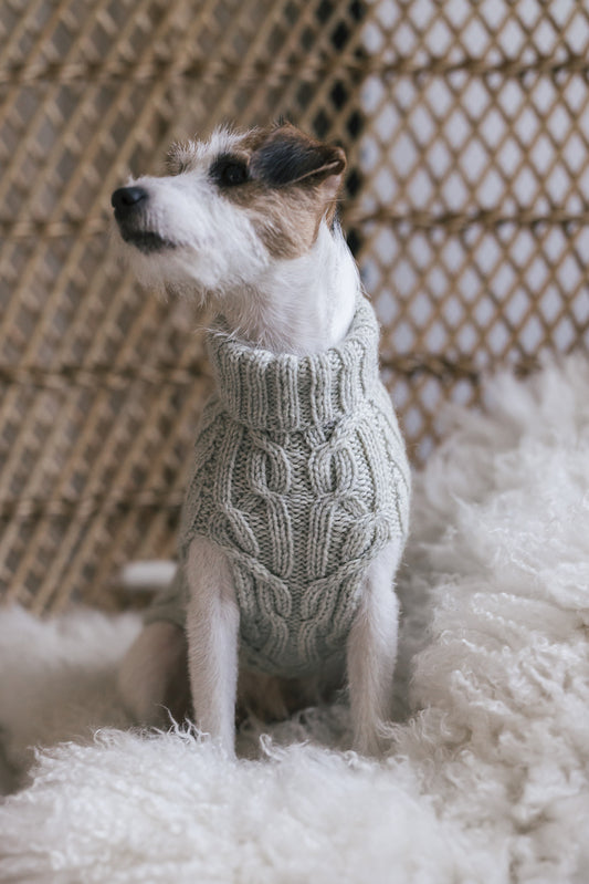 Hiljainen ilta Dog Sweater | warm and durable from Arctic Wool by Novita