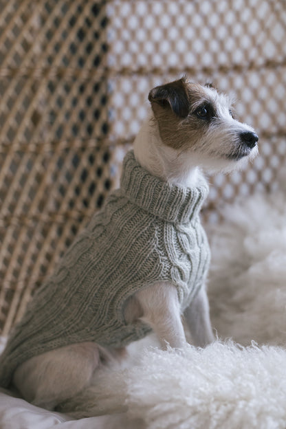 Hiljainen ilta Hundepullover | warm und robust aus Arctic Wool von Novita