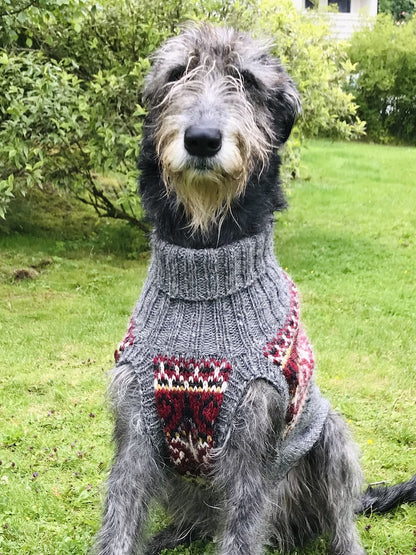 Alasuq Pullover Dog | for your dog from Alafosslopi by Lopi Island
