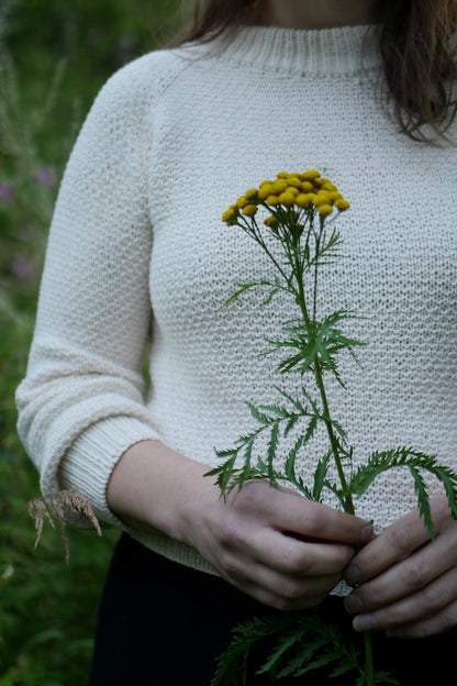 Nupu Nupu Armi Sweater mit Bio Balance von BC Garn 2