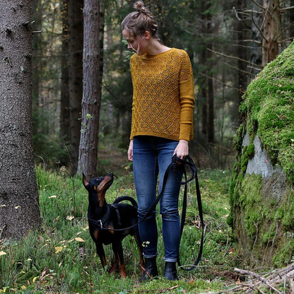 Pull Let it Fall | avec un joli motif en Cheeky Merino Joy