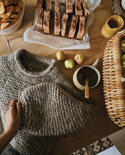 Cosy Lopi | extrêmement chaud en Plötulopi de Lopi Island