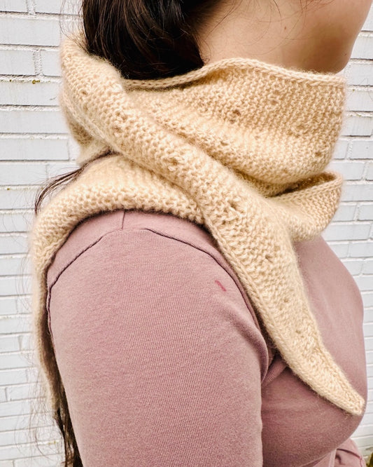 Fortune Cookie Shawl (PDF) - Instructions