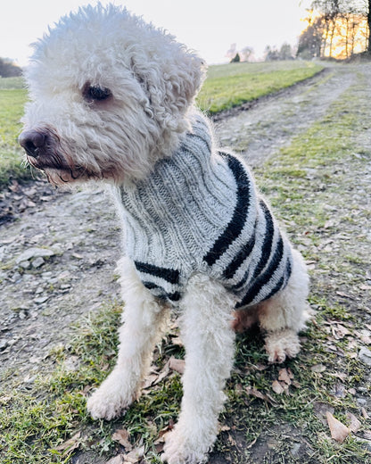 Hundepullover Black Sheep (PDF) - vejledning