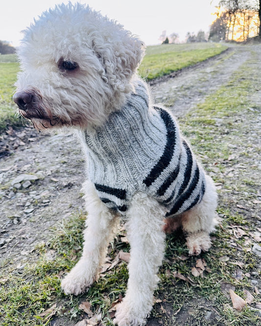 Pull pour chien Black Sheep (PDF) - Instructions