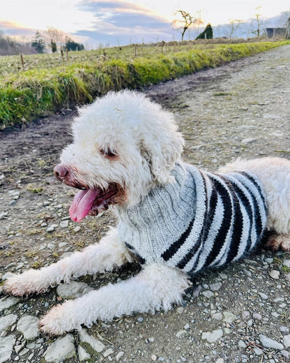 Hundepullover Black Sheep (PDF) - vejledning