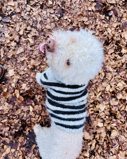 Hundepullover Black Sheep (PDF) - vejledning