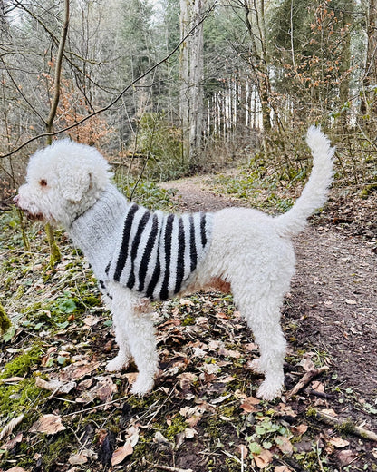 Hundepullover Black Sheep (PDF) - vejledning