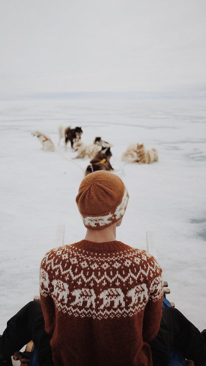 Saskie und Co Narnia Jumper mit Lettlopi von Lopi Island 8
