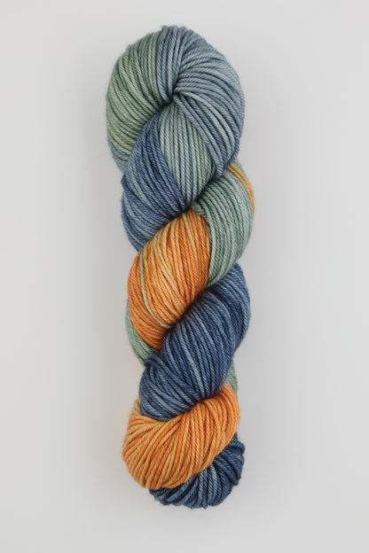 Symfonie Yarns Viva Color Farbe 1011
