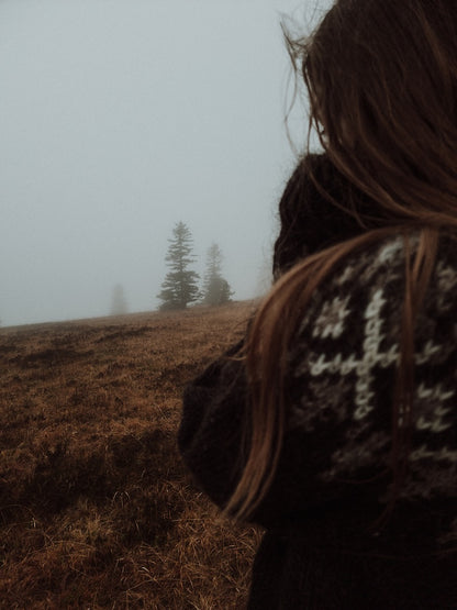 Fjelltur Sweater | kontrastfyldt norsk mønster af Alafosslopi fra Lopi Island