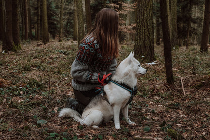 Maglione Forest Guard | motivo norvegese a contrasto realizzato in Alafosslopi di Lopi Island