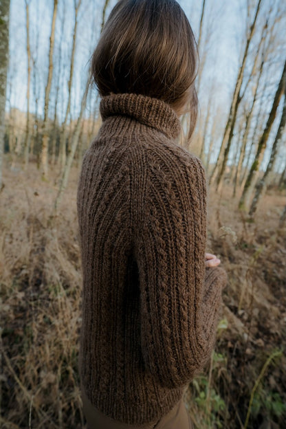Chandail Oakwood Raglan | fin motif torsadé en Plötulopi de Lopi Island
