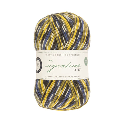 Signature 4 brins Country Birds | Fil à chaussettes aux couleurs des oiseaux chanteurs locaux