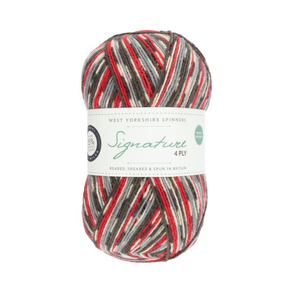 Signature 4 brins Country Birds | Fil à chaussettes aux couleurs des oiseaux chanteurs locaux