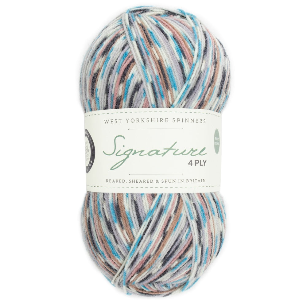 Signature 4 brins Country Birds | Fil à chaussettes aux couleurs des oiseaux chanteurs locaux