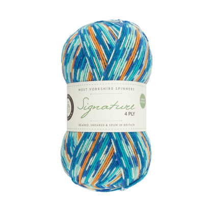 Signature 4 brins Country Birds | Fil à chaussettes aux couleurs des oiseaux chanteurs locaux