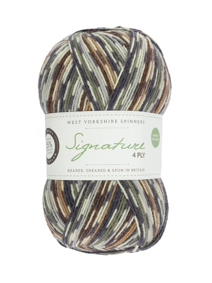 Signature 4 brins Country Birds | Fil à chaussettes aux couleurs des oiseaux chanteurs locaux
