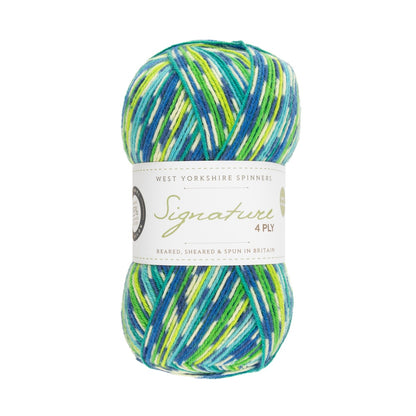 Signature 4 brins Country Birds | Fil à chaussettes aux couleurs des oiseaux chanteurs locaux