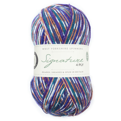 Signature 4 brins Country Birds | Fil à chaussettes aux couleurs des oiseaux chanteurs locaux