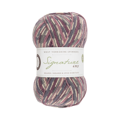 Signature 4 brins Country Birds | Fil à chaussettes aux couleurs des oiseaux chanteurs locaux