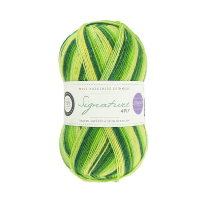 Signature 4-ply Winwick Mum | self-striping sock yarn