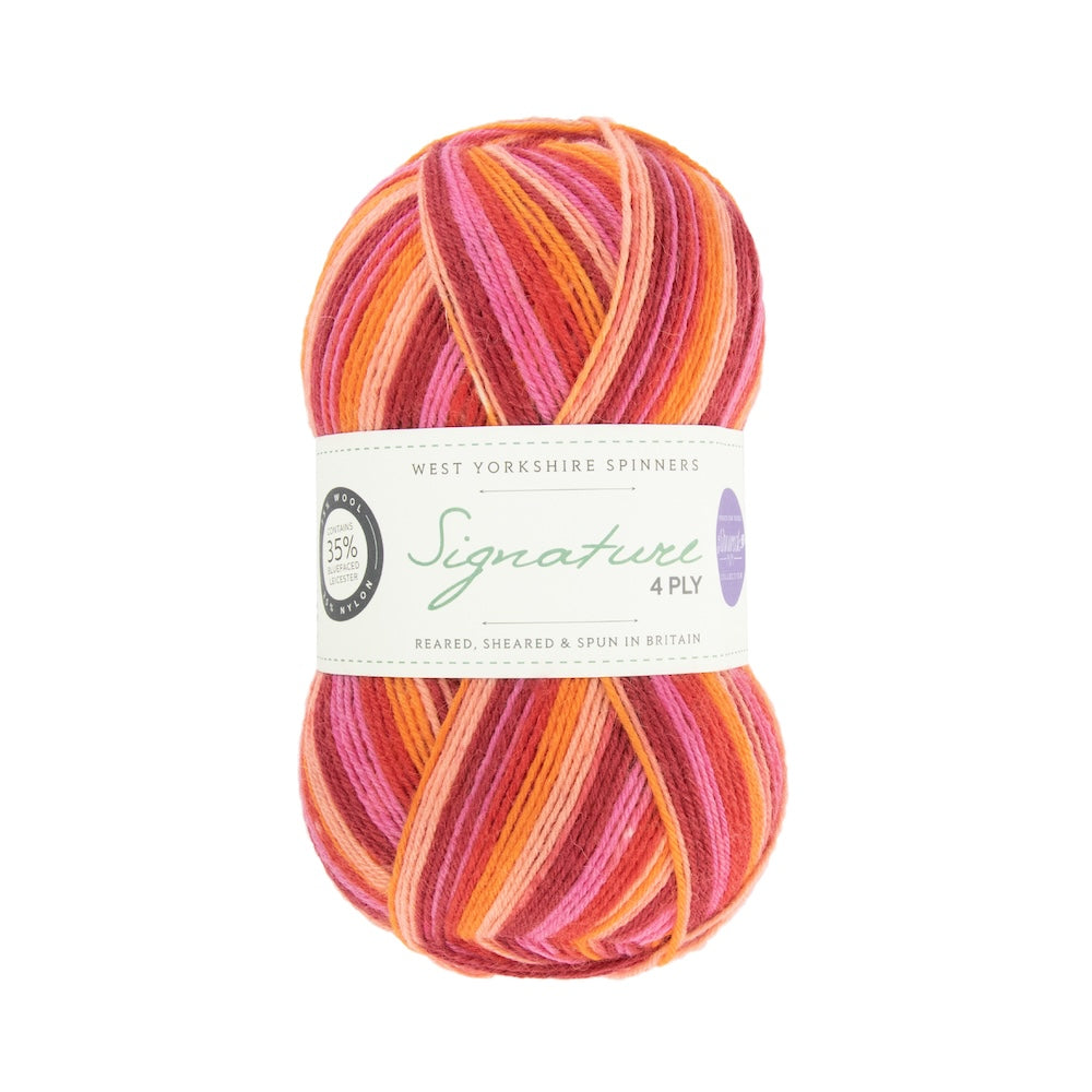 Signature 4-ply Winwick Mum | self-striping sock yarn