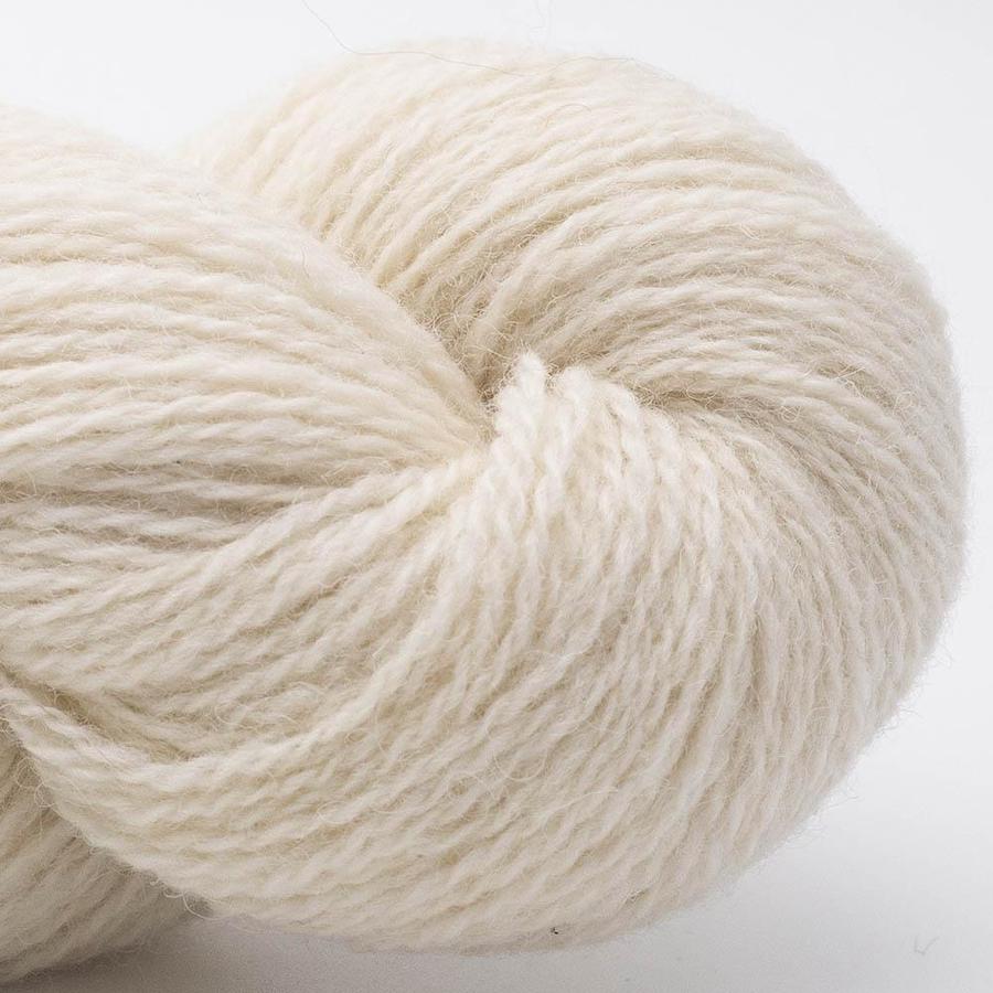 BC Garn Bio Shetland Farbe 39