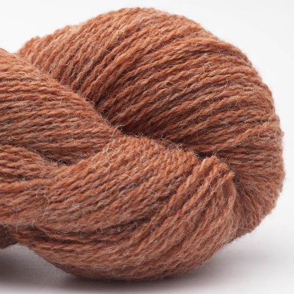 BC Garn Bio Shetland Farbe 62